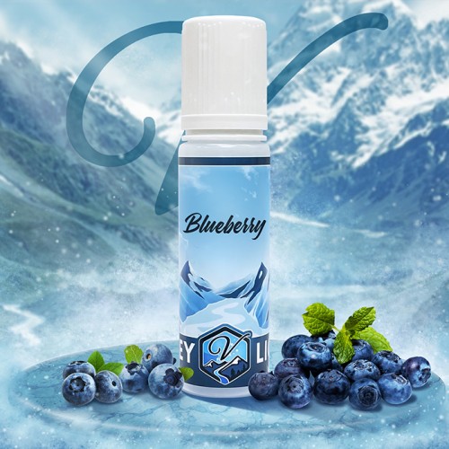 Blueberry 50ml Shortfill